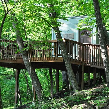 Вилла Seven Oaks - Treehouse With Deck Ленекса Экстерьер фото